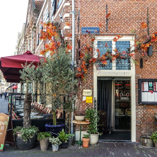 Visita a pie al centro de Haarlem