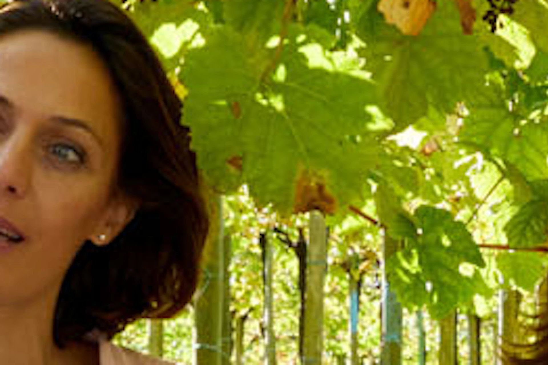 Three people stand under grapevines, engaged in conversation. They are surrounded by lush greenery and sunlight filtering through the leaves.