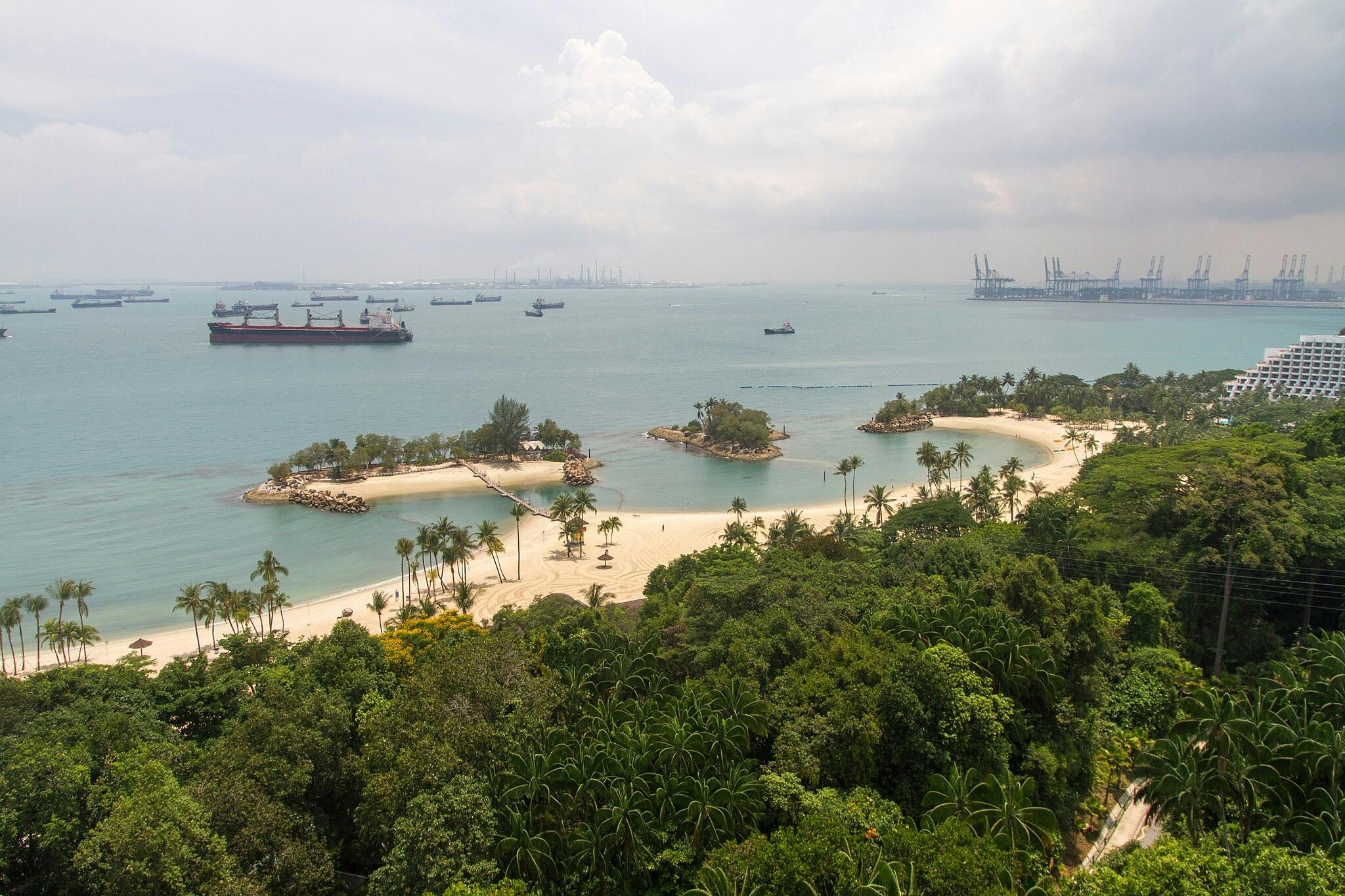 Aerial view of a coastal area with sandy beaches, lush greenery, and anchored cargo ships in the distance under a cloudy sky.