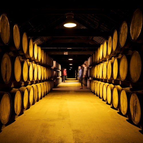 Midleton Distillery Experience & Whiskey Tasting - Home of Jameson