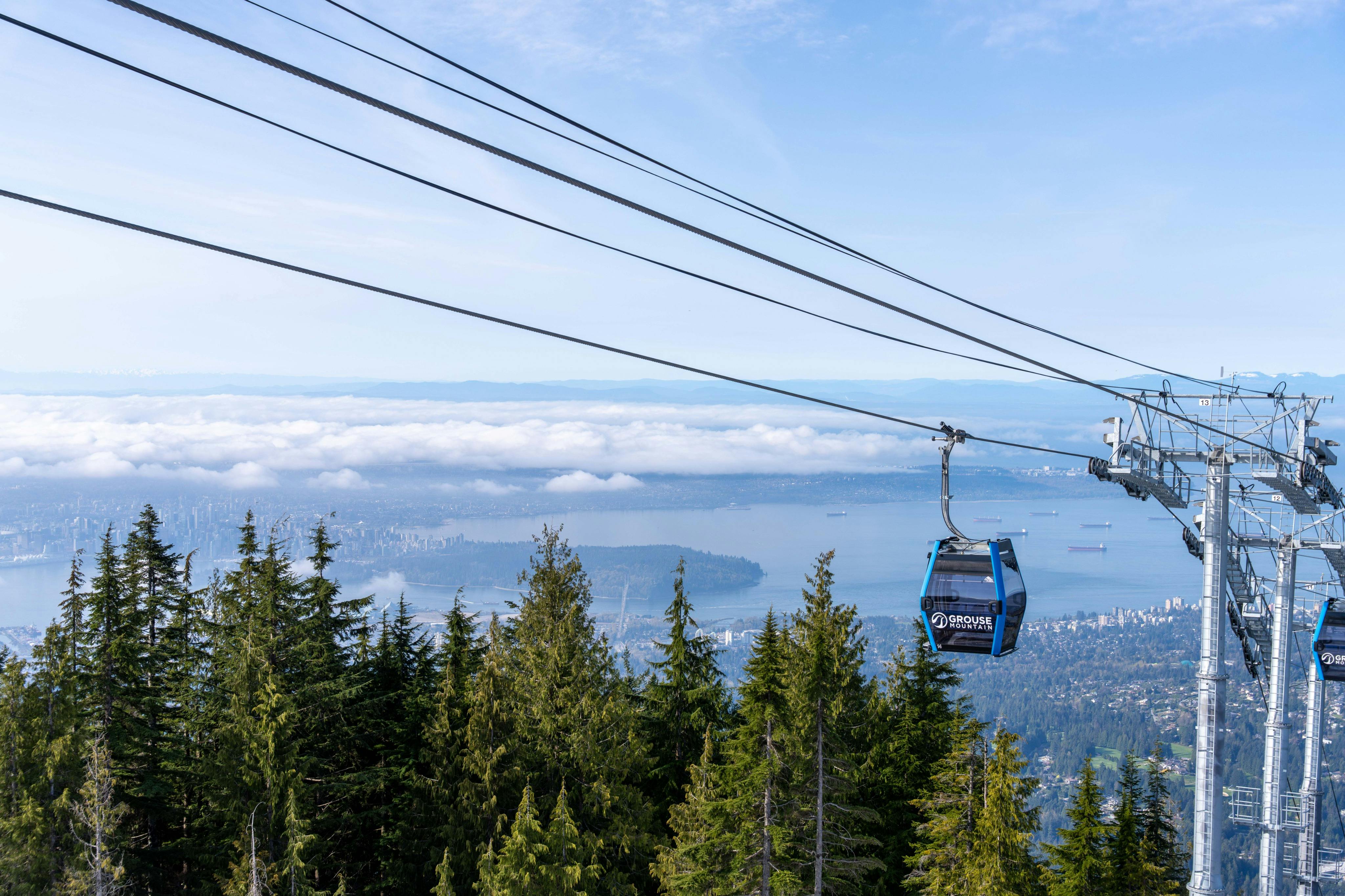 푸른 하늘 아래 멀리 떨어진 도시, 물, 산이 보이는 숲 위 케이블에 매달린 곤돌라.