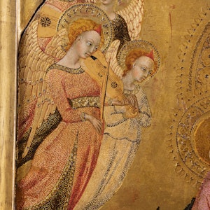 Descrizione immagine non disponibile