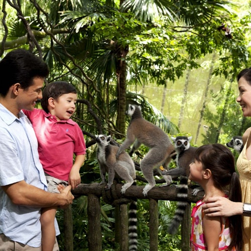 Parque 2 en 1: Zoológico de Singapur + Maravillas del Río