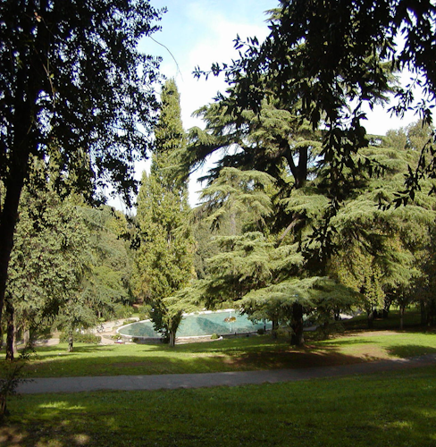 ゴルフカートによるヴィラボルゲーゼ庭園と歴史地区(即日発券)
