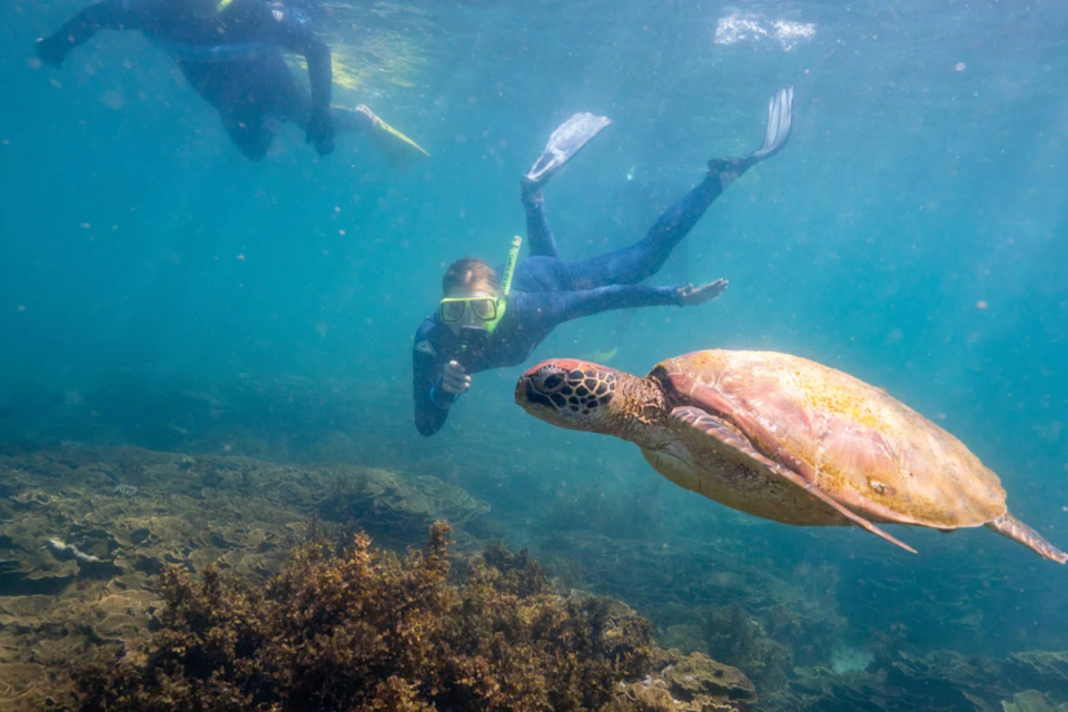 Two snorkelers swimming underwater with a sea turtle near coral reefs in clear blue water.