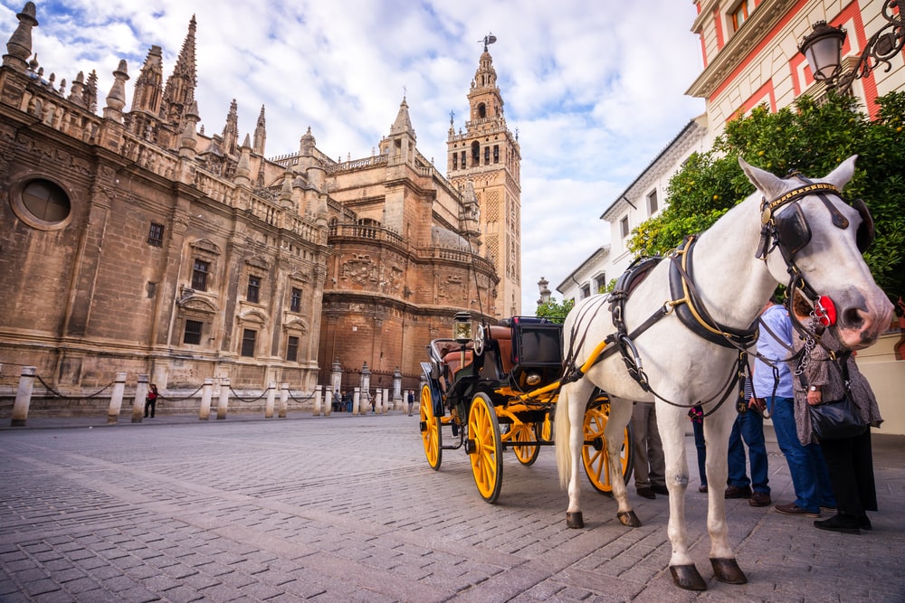 City Tour of Seville: Audio Guide App (Vox)