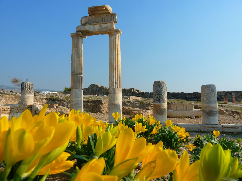Ancient stone arch and columns with yellow flowers in the foreground under a clear blue sky.