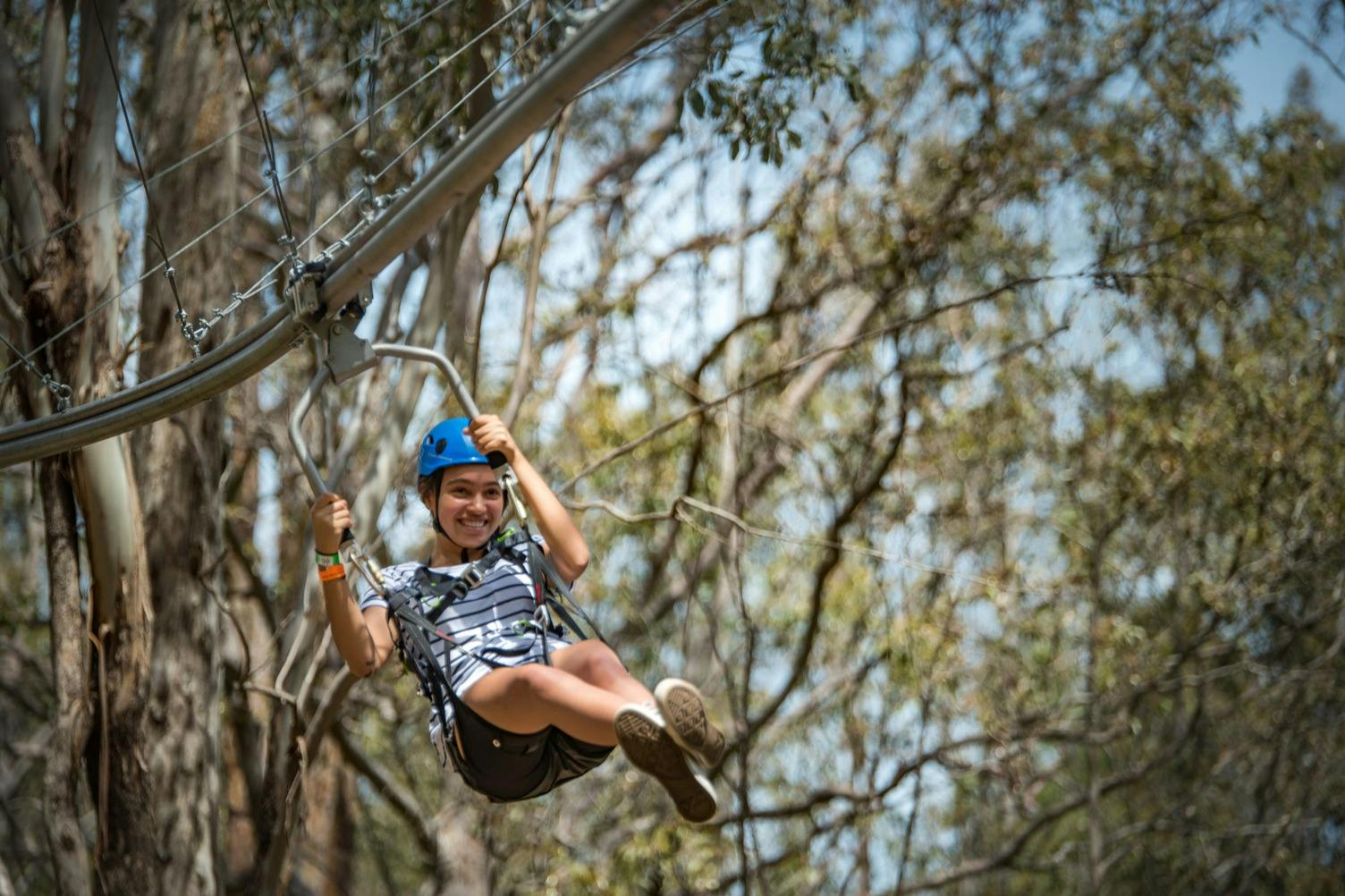 Treetops Adventure Central Coast: Zipcoaster Ride in Wyong Creek – Tiqets