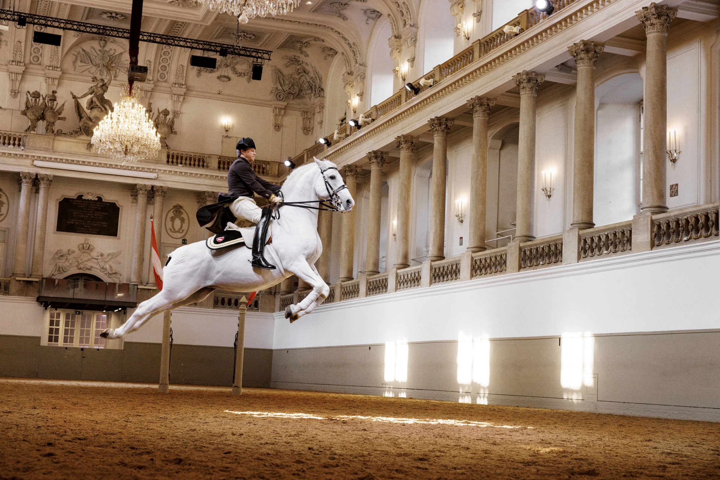 Desempenho Lipizzaner na Escola de Equitação Espanhola