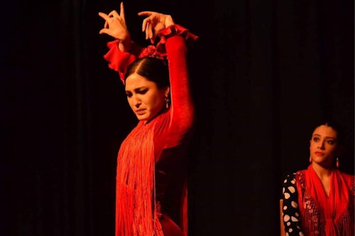 セビリア：フラメンコダンス教室(即日発券)