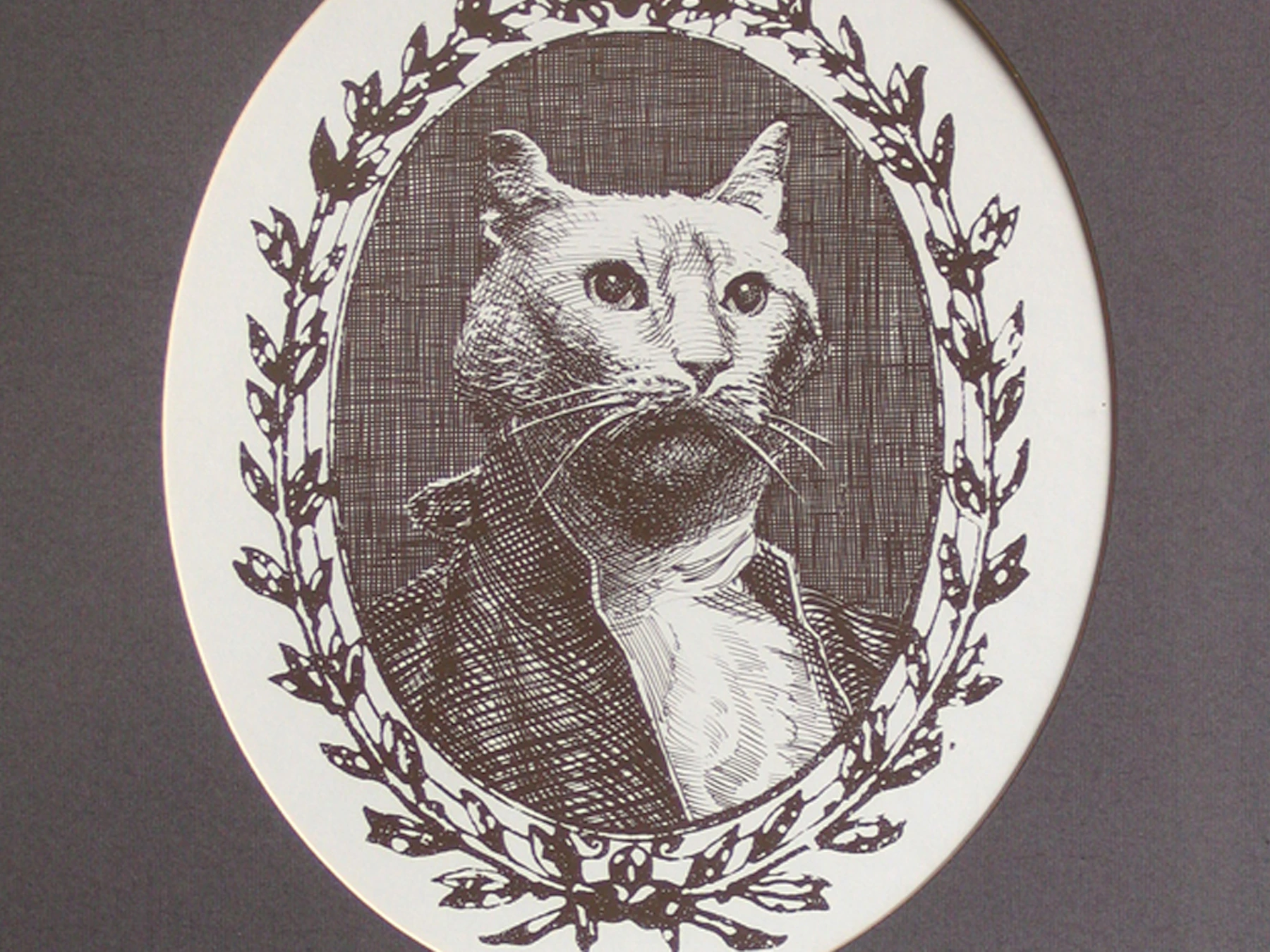 Das Katzenkabinett: Eintrittskarte