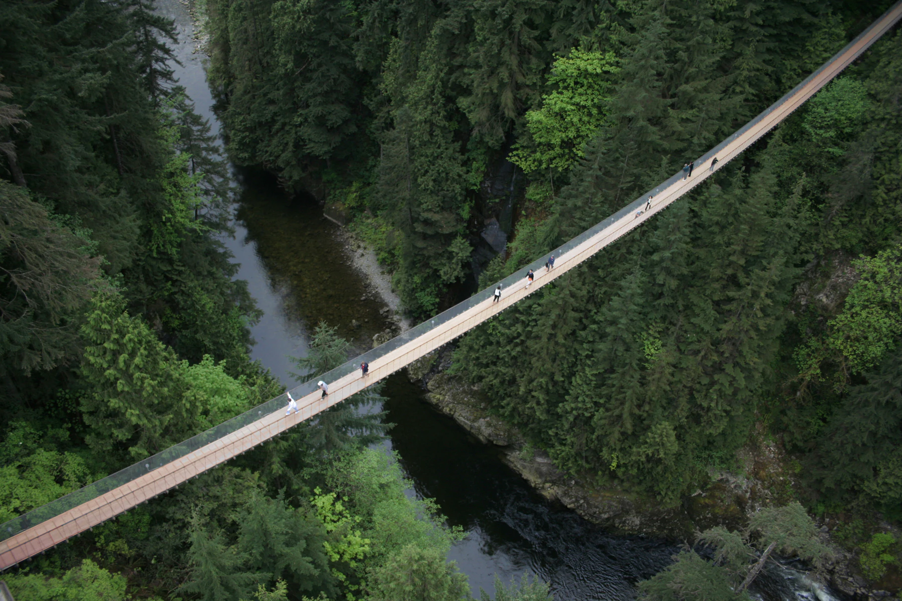Vancouver: Guided City Tour with Capilano Park Entry + Optional Airport Drop-off
