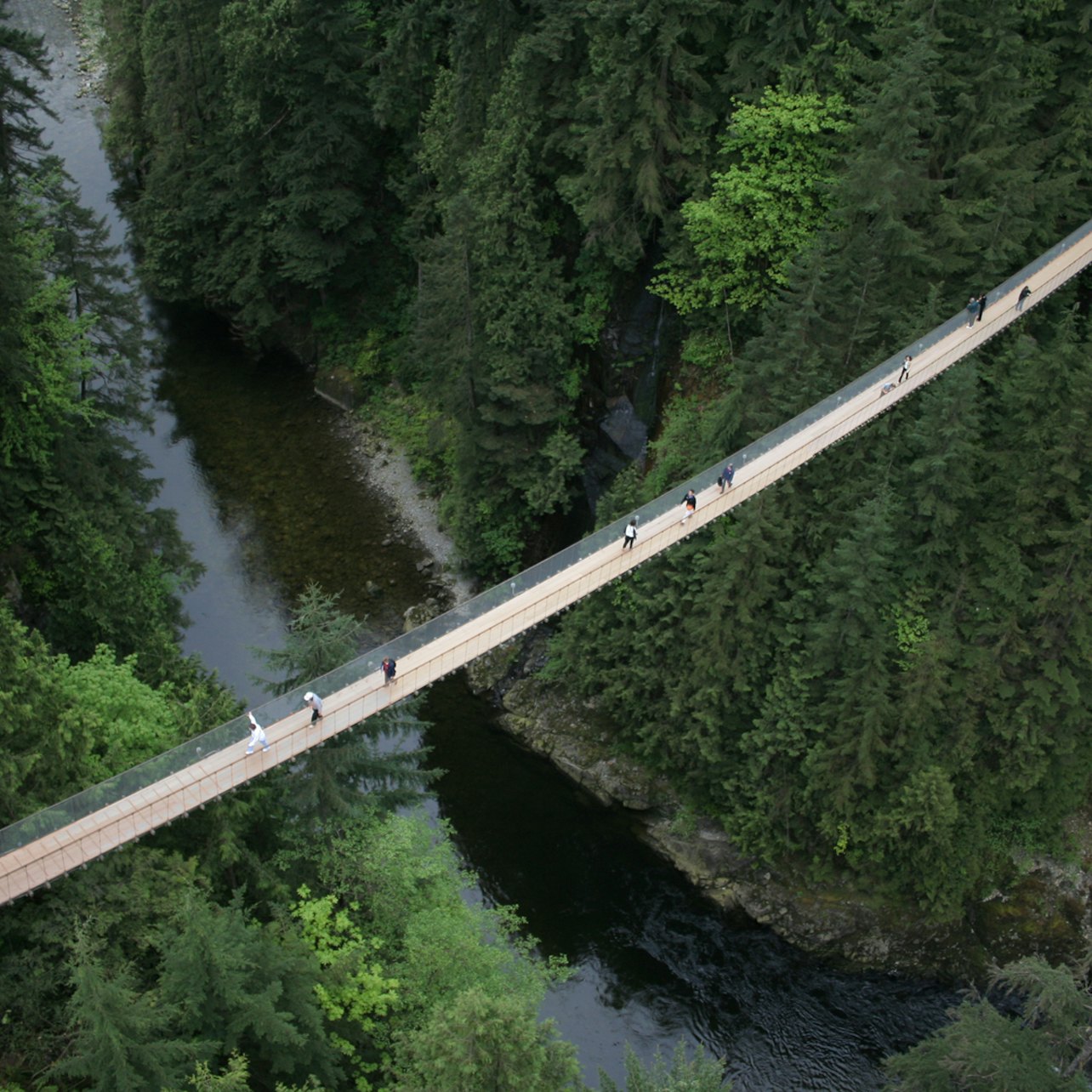 Visita a la ciudad de Vancouver y puente colgante de Capilano - Alojamientos en Vancouver