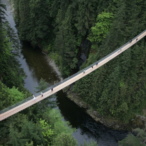 Visita a la ciudad de Vancouver y puente colgante de Capilano