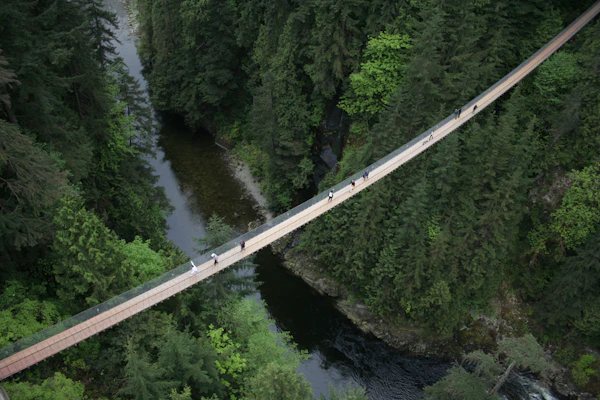Vancouver Bus Tour met Capilano Suspension Bridge Park Tickets