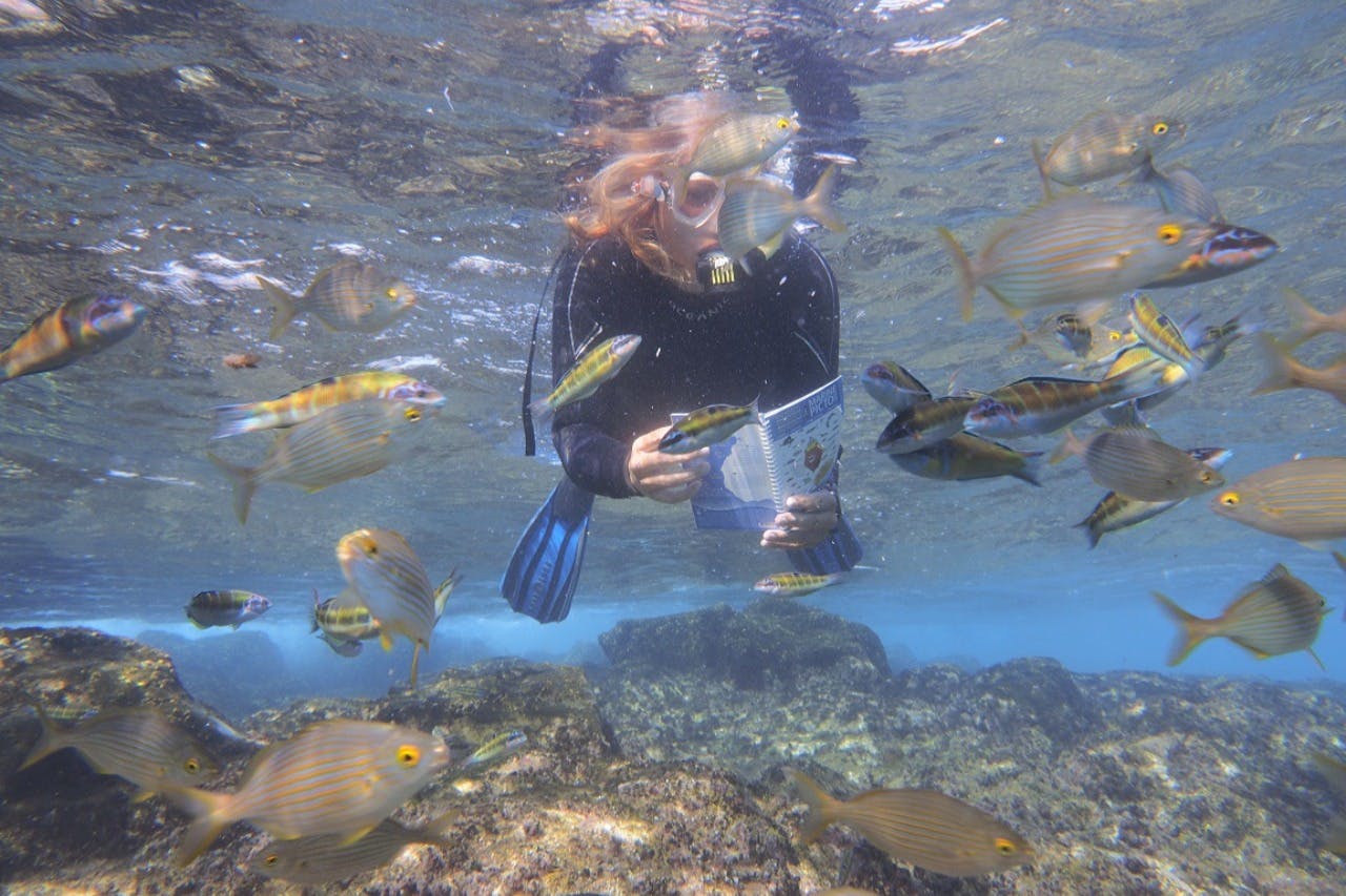 Πρόσωπο κάτω από το νερό με αναπνευστήρα, κρατώντας ένα βιβλίο με πολύχρωμα ψάρια που κολυμπούν γύρω τους. Οι βράχοι και τα καθαρά νερά είναι ορατά.