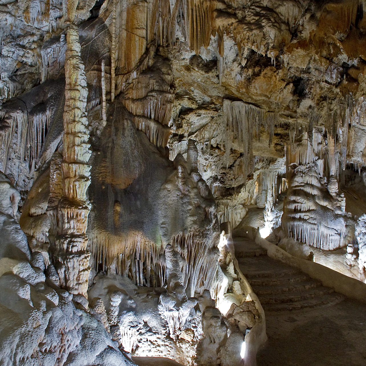 Campanet Caves: Skip The Line Ticket