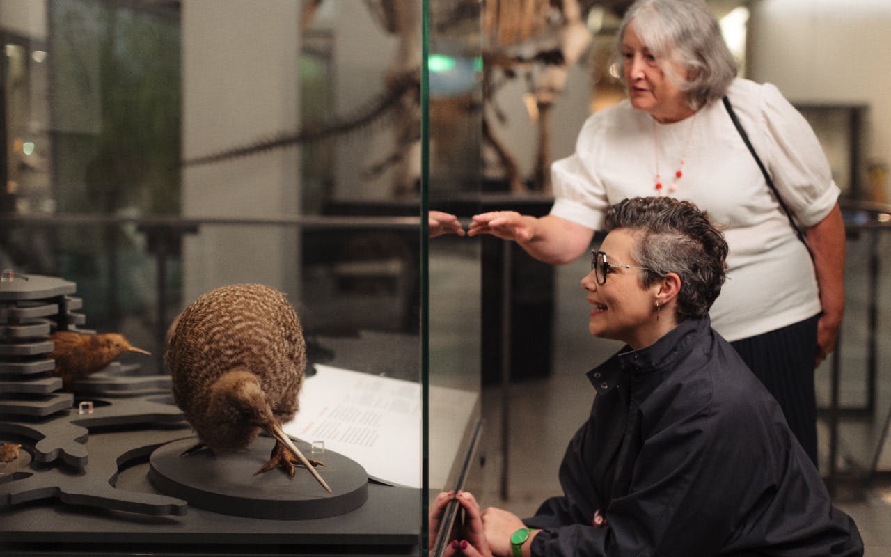 Auckland War Memorial Museum & Maori Cultural Experience