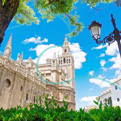 Seville Super Combo - Photo 4