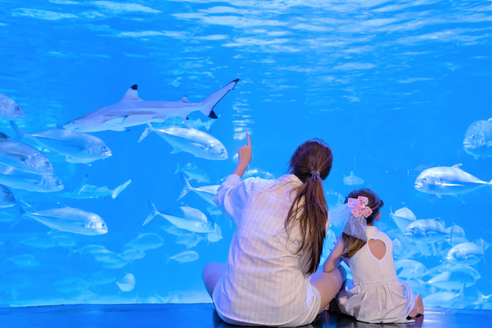 An adult and a child sit in front of a large aquarium, observing fish and a shark swimming in the clear blue water.
