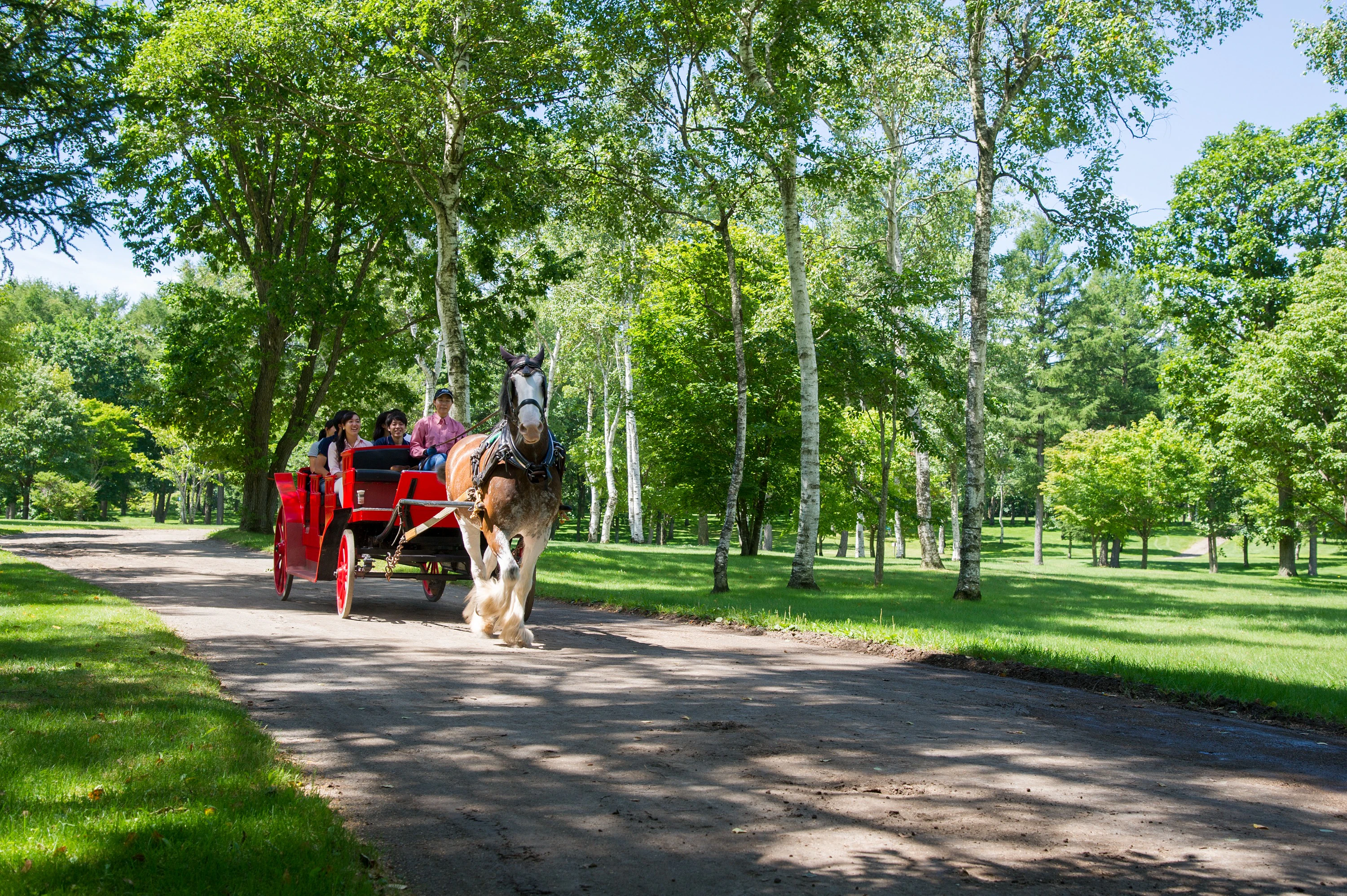 Northern Horse Park Tomakomai: Entry Ticket for Spring/Summer/Autumn