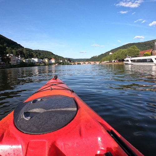 Excursiones en kayak por el río Neckar en Heidelberg