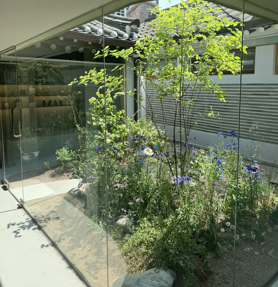 A modern courtyard with a glass enclosure, featuring greenery, flowering plants, and traditional tiled roof elements.