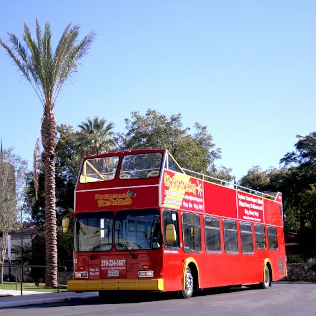Bus turístico San Antonio - Alojamientos en San Antonio
