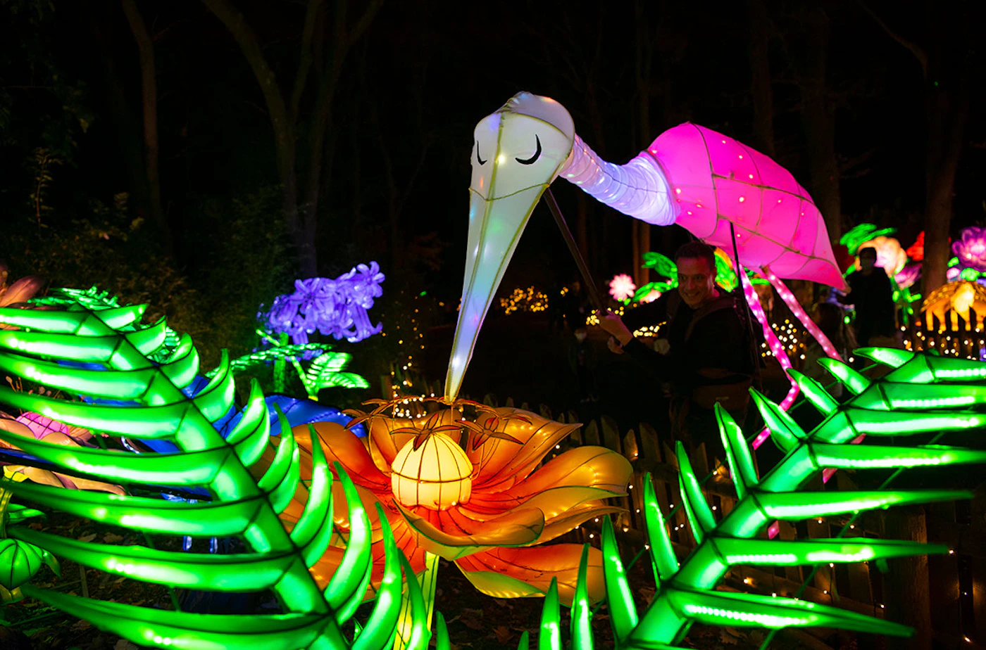 Bronx Zoo Holiday Lights