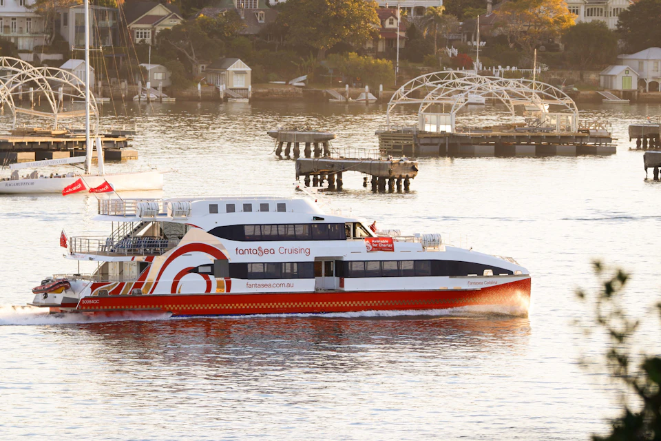 Express Whale Watching