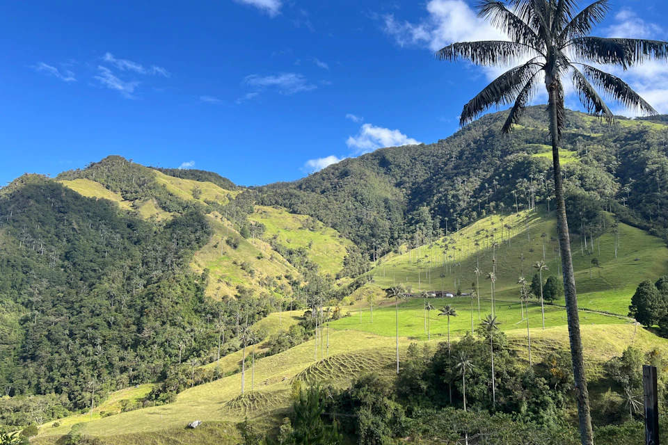 Cocora Valley Shared Tour