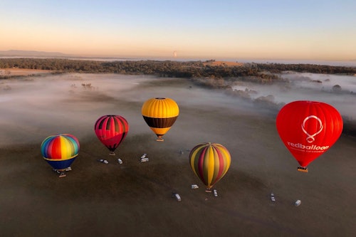 ハンターバレー：日の出の熱気球フライト(即日発券)