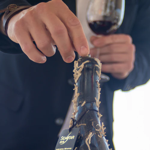 Barcelona: 2-Hr Sailing Experience + Underwater Wine Tasting - Photo 6