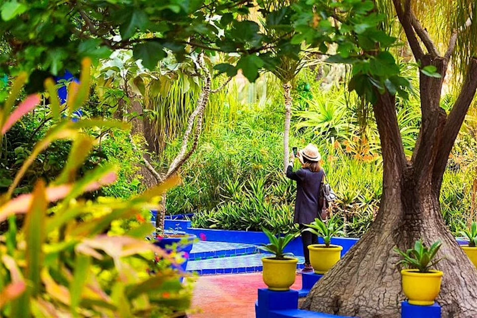 Person with a hat taking photos in a lush garden, surrounded by various plants and trees, blue and yellow planters visible.