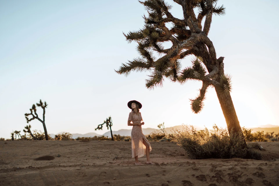 A person wearing a hat and dress stands in a desert landscape near a large tree, with a clear sky and mountains in the background.