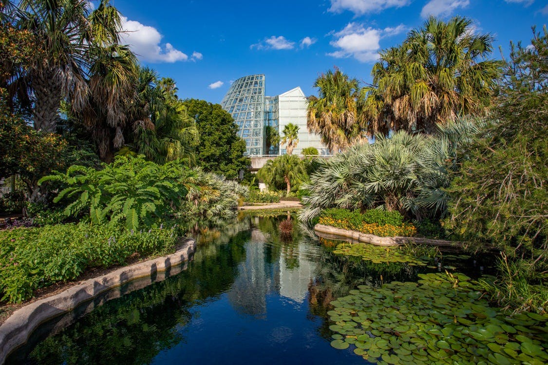 View of the Conservatory Courtyard.