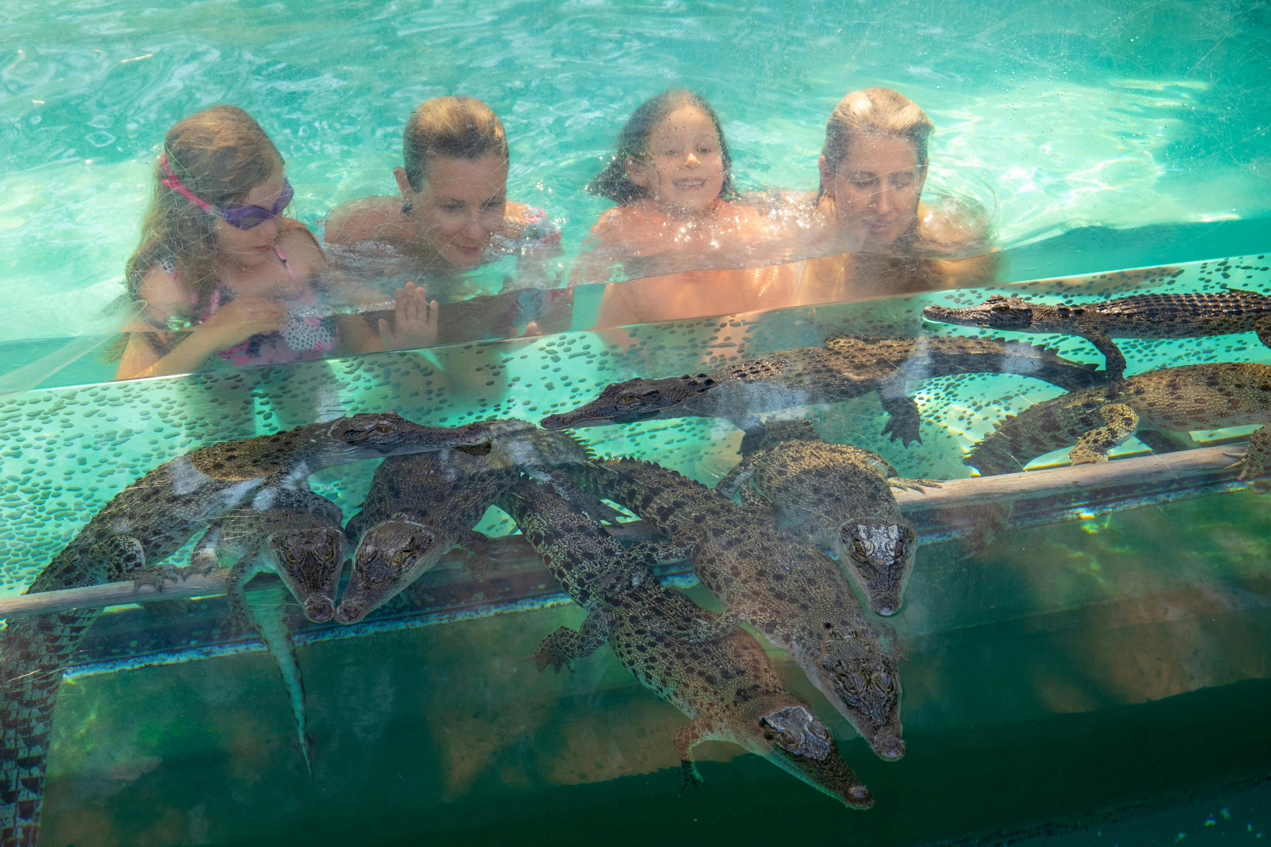 Swimming with Crocs Pool