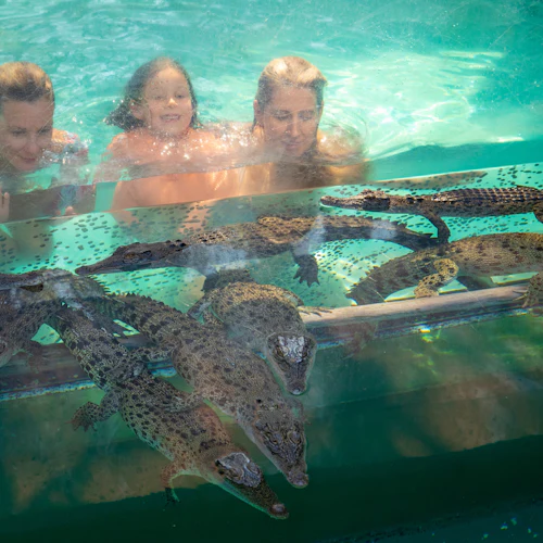 Croc N History Combo - Photo 2