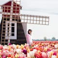 Tulpen und Windmühle