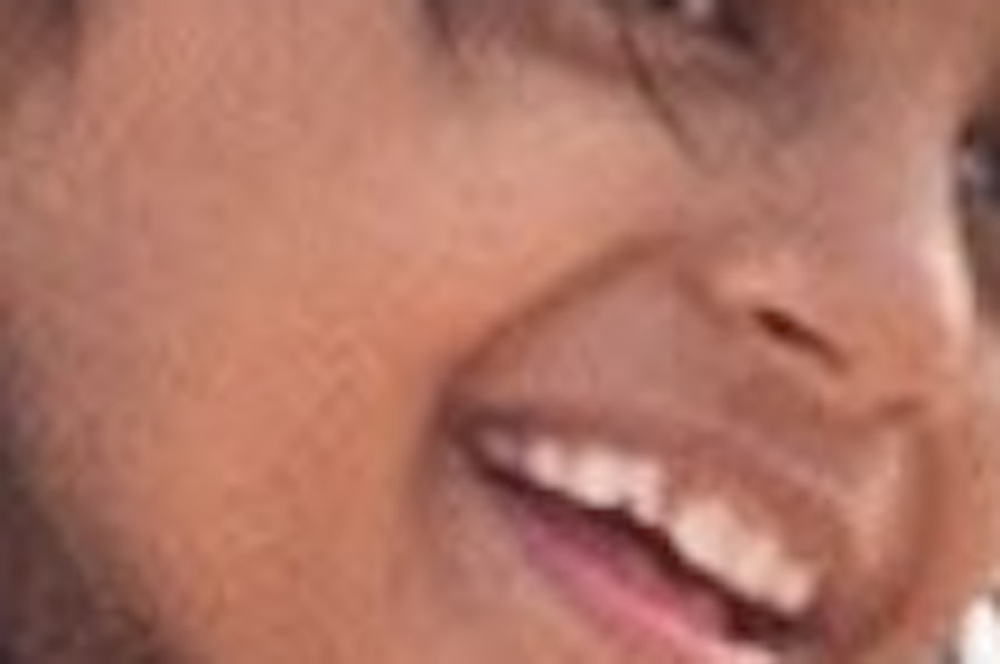 チューリップ・エクスペリエンス・アムステルダム チケット