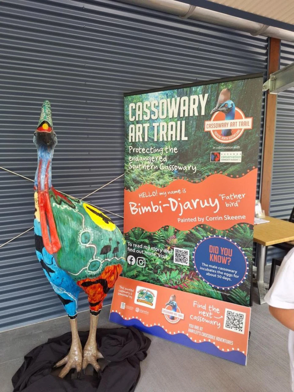 Colorful cassowary sculpture with a “Cassowary Art Trail” sign, showcasing Bimbi-Djaruy, painted by Corrin Skeene, promoting conservation.
