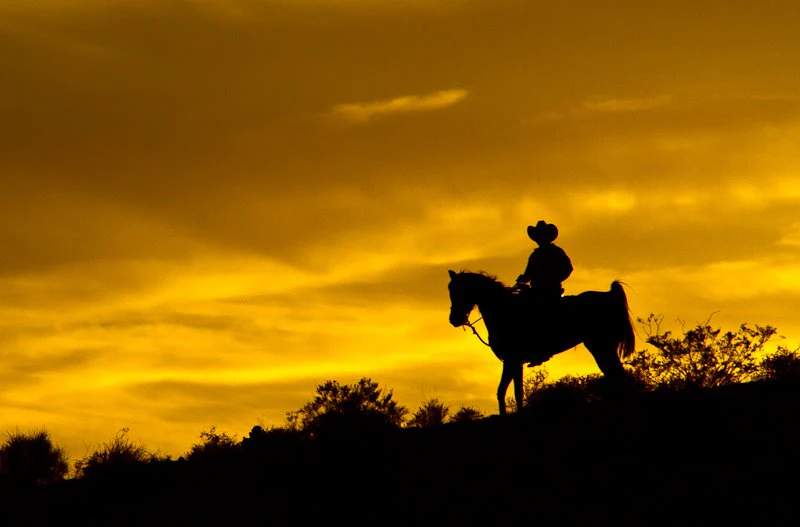 Wild Wild West Sunset Horseback Ride + Dinner