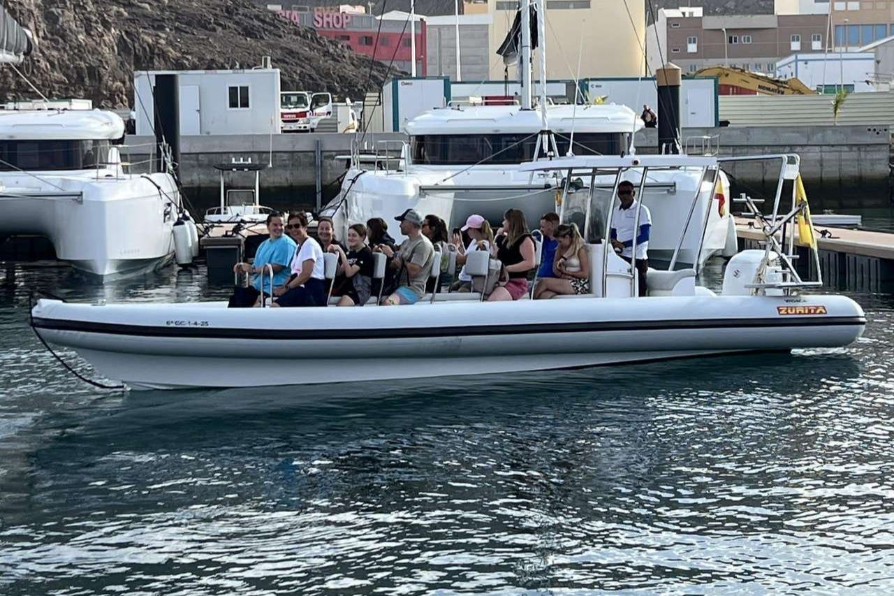 Fuerteventura: crociera di 1,5 ore per l'osservazione dei delfini + prelievo dall'hotel — 4