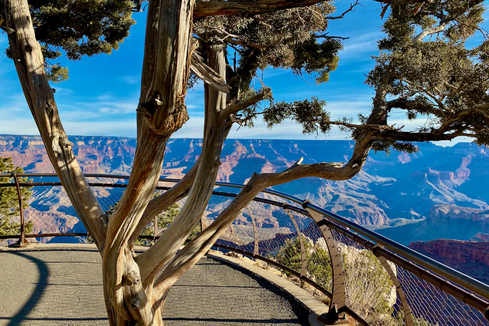 Grand Canyon