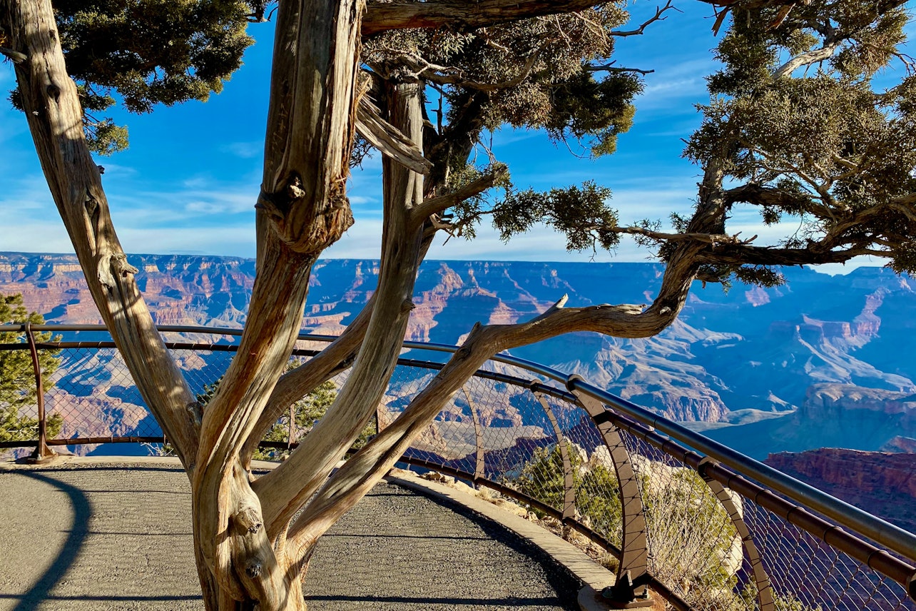 Grand Canyon National Park: Day Trip from Las Vegas with Lunch - Accommodations in Las Vegas