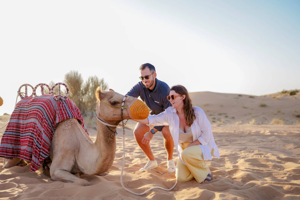 A man and woman pet a seated camel in a desert setting, with the camel wearing a colorful patterned cloth and a muzzle.