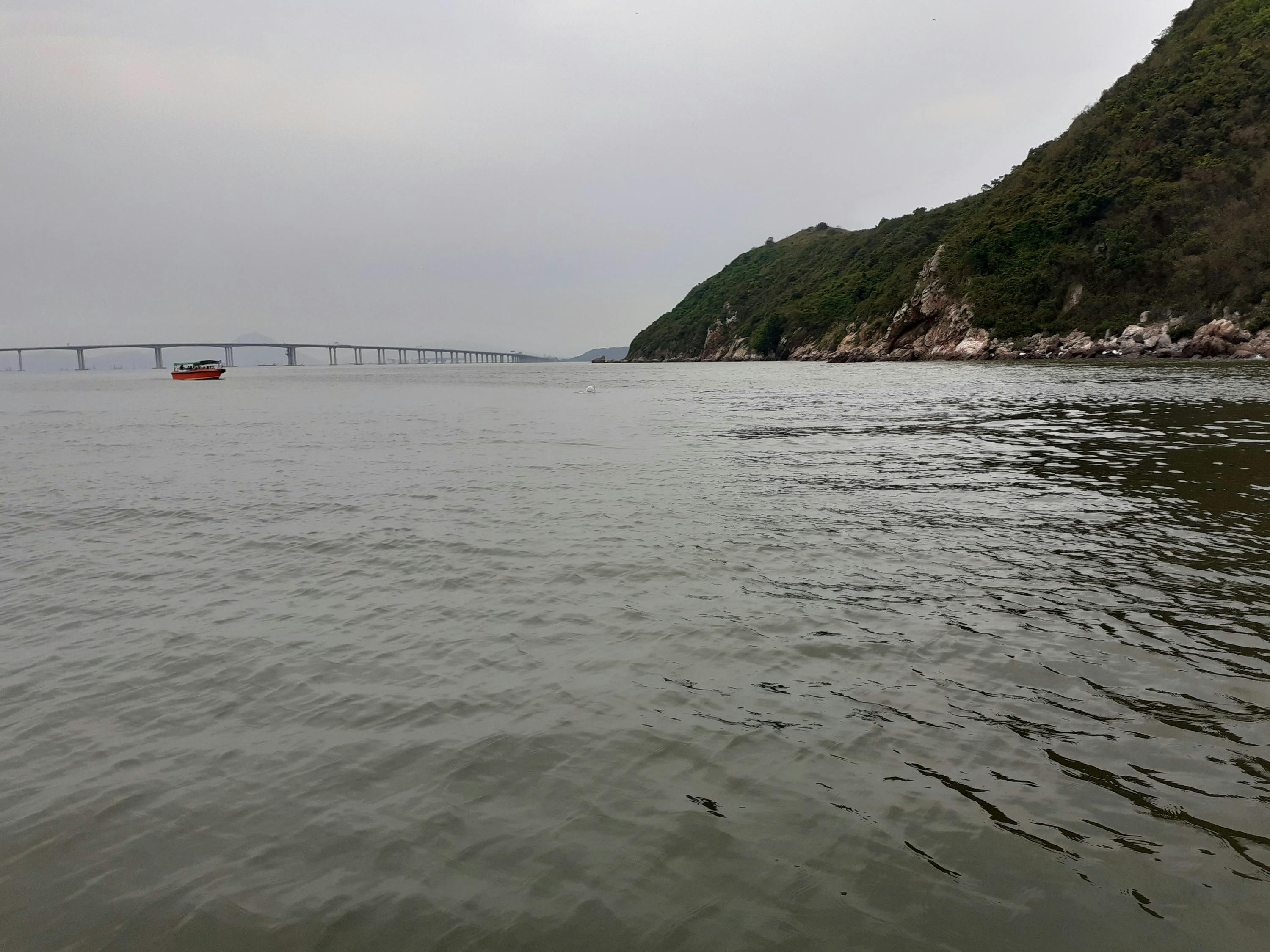 Tai O: Passeio turístico de barco de 20 minutos - Photo 12