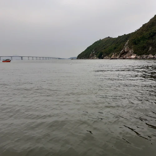 Tai O: Passeio turístico de barco de 20 minutos - Photo 12