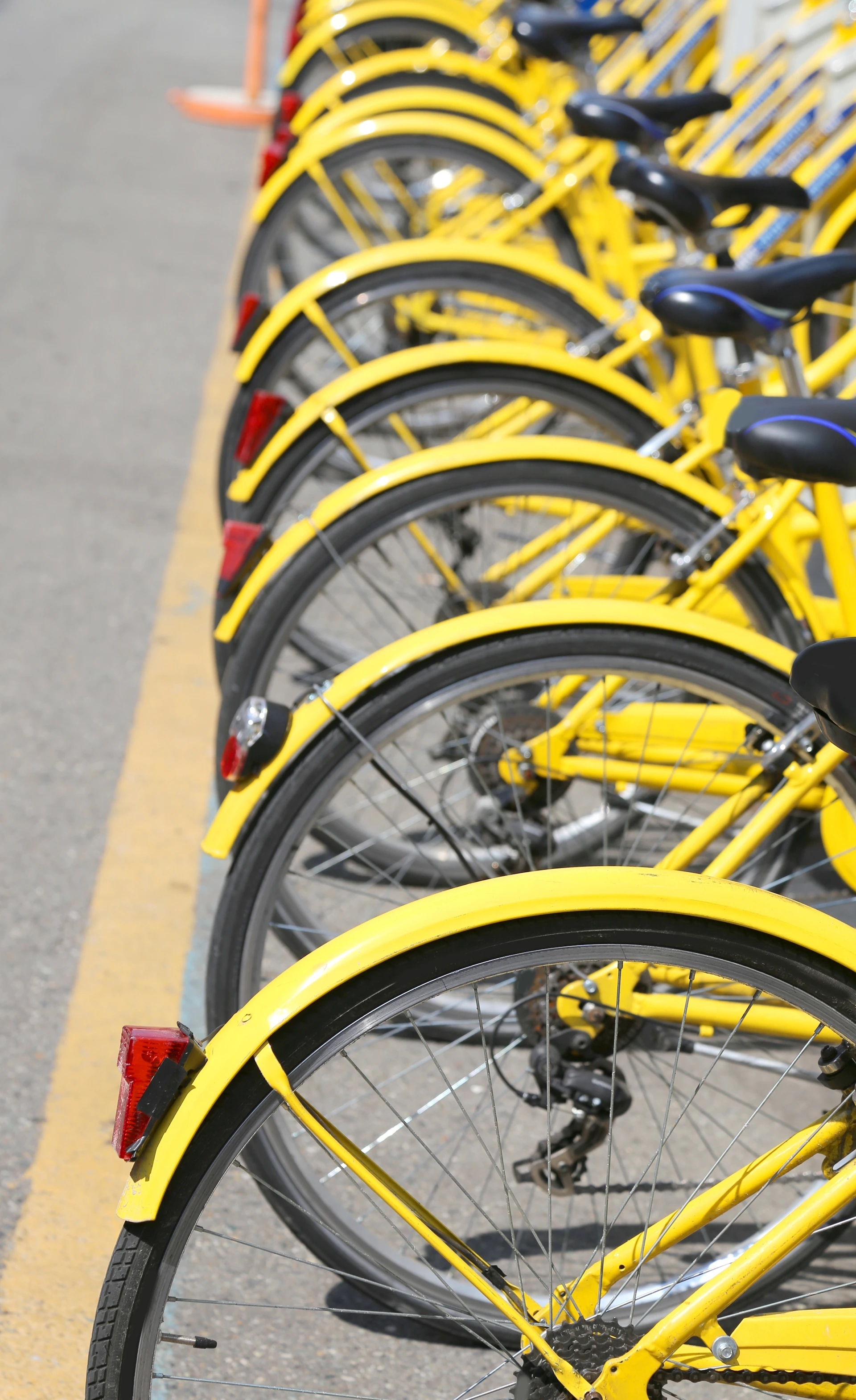 A row of parked yellow bicycles, viewed from the back, lined up on a paved surface with a yellow dividing line.