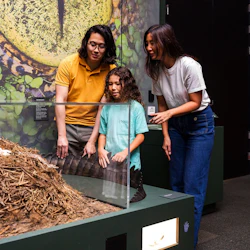 Queensland Museum Kurilpa: Croc! Lost Giants to Living Legends Exhibition Entry 5